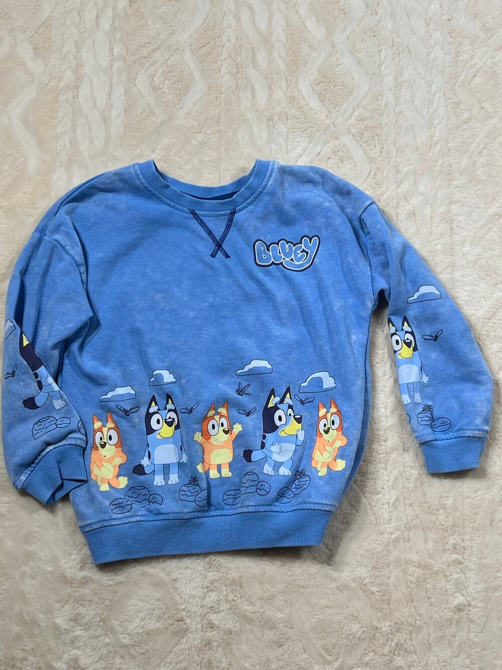 Bluey Girls 5T Sweatshirt Blue Crewneck Pullover Graphic Fleece EUC Toddler